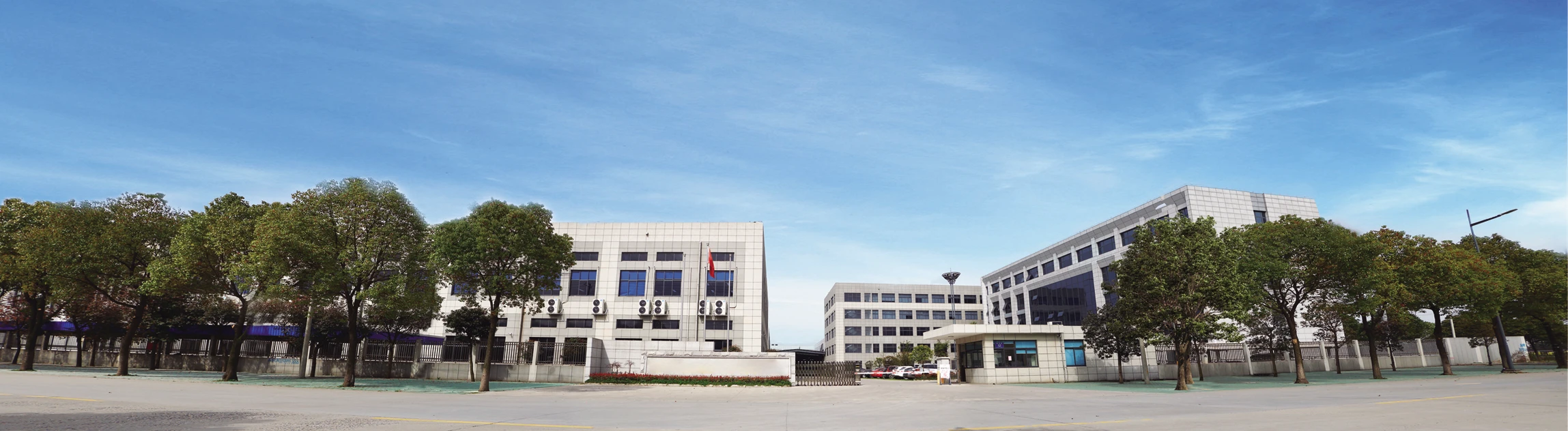Company Profile